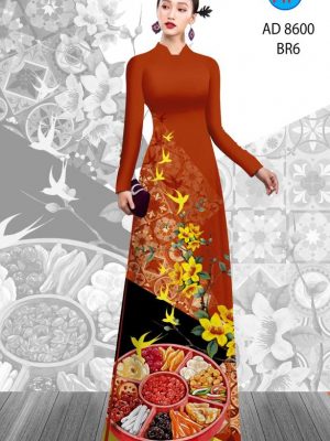 1608089109 91 vai ao dai dep hien nay (2)